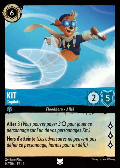 Kit - Copilote
