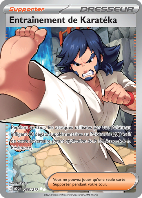 Entraînement de Karatéka