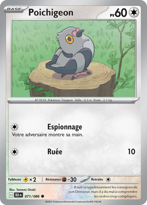 Poichigeon (xBLK 071)