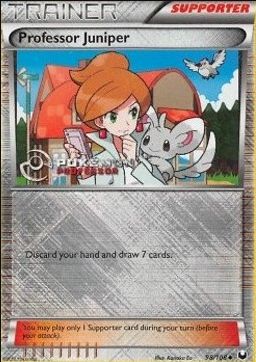 Professeur Keteleeria (DEX 98)