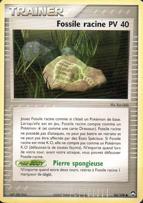 Fossile racine