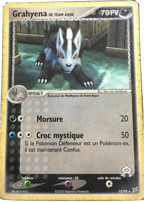 Team Aqua's Mightyena