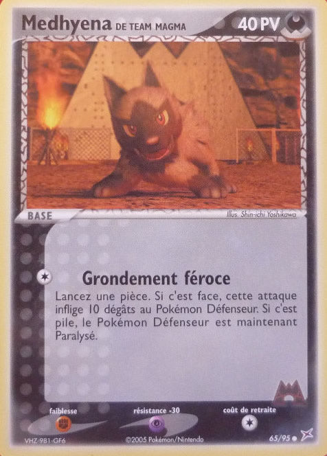 Team Magma's Poochyena