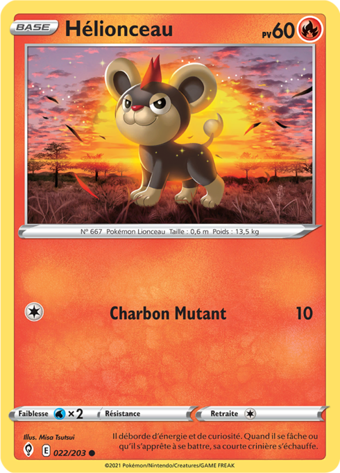 Hélionceau (EVS 022)