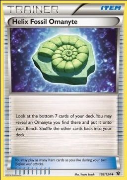 Fossile Nautile Amonita