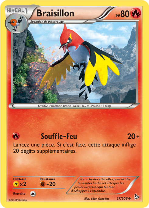 Braisillon