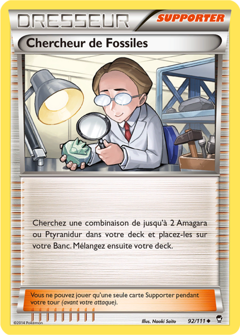 Chercheur de Fossiles