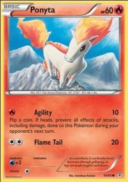 Ponyta