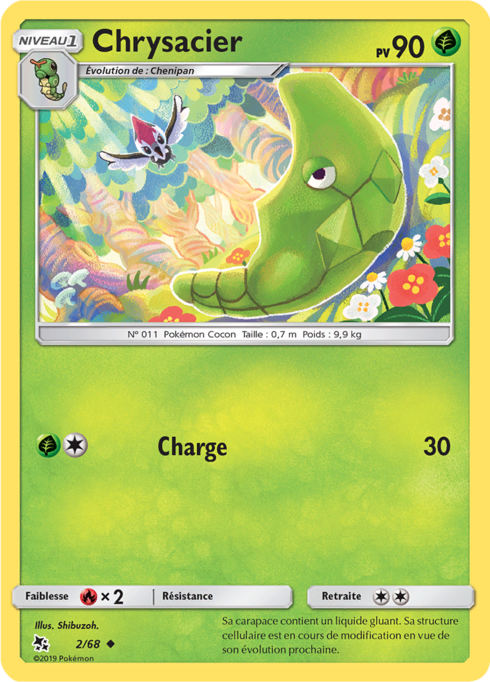 Metapod (HIF 2)
