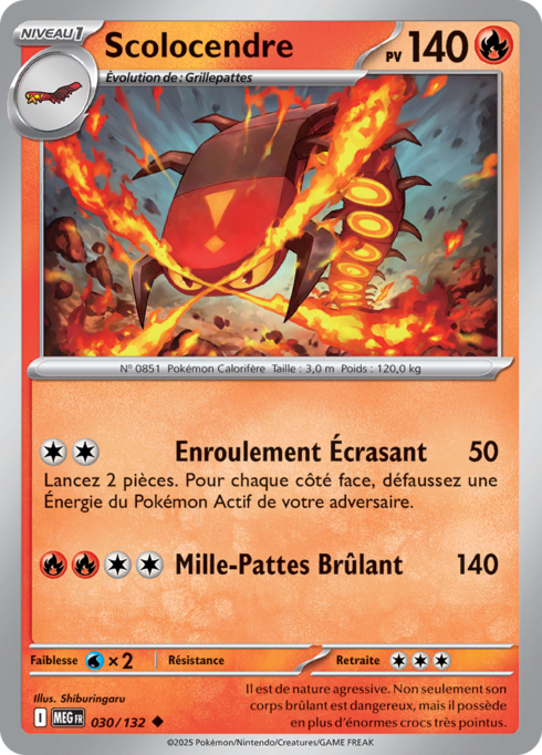 Scolocendre (MEG 030)