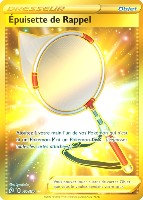 Épuisette de Rappel