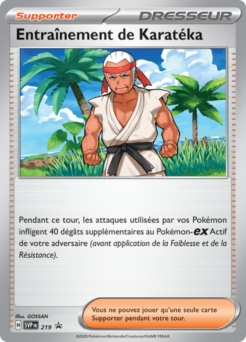 Entraînement de Karatéka (SVP 219)