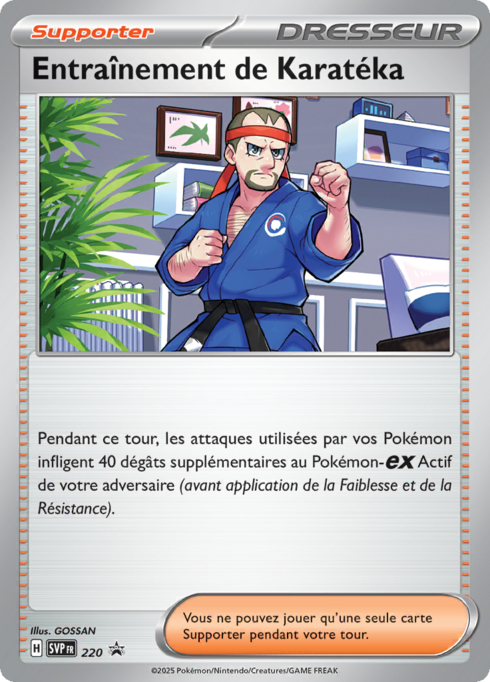 Entraînement de Karatéka (SVP 220)