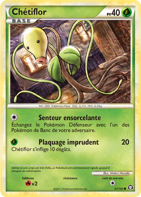 Chétiflor