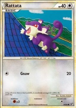 Rattata