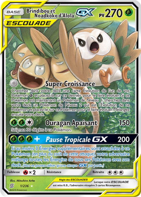 Brindibou et Noadkoko D'Alola GX (UNM 1)