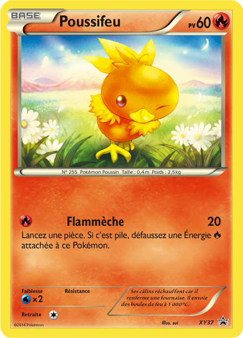 Torchic