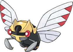 Ninjask