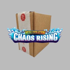 Case de 24 Sleeved Boosters